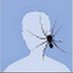 dopamine (@nomorebotfat) Twitter profile photo dopamine (@nomorebotfat) Twitter profile photo