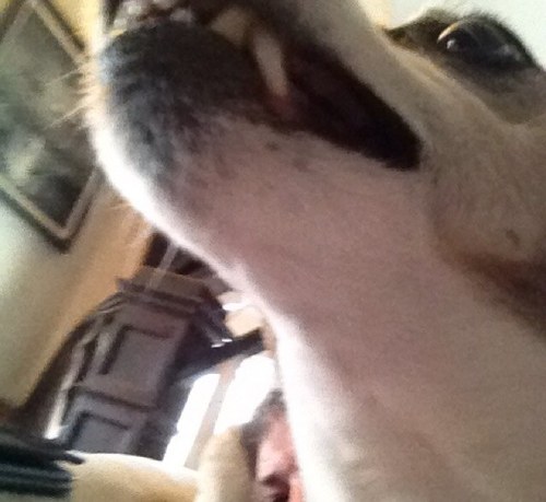 dfmooreisgod's profile picture. 