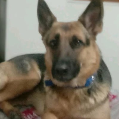 Bhoom57254K's profile picture. 