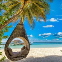 doğayla yüzleş (@dogaylayuzles) Twitter profile photo