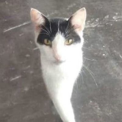 Charlemagn47143's profile picture. 