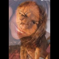 Regina (@reginaandr2) 's Twitter Profile