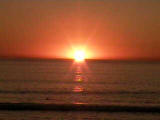 LivinDry's profile picture. 