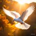 Brighter Life (The Good Things I See & Share) (@resty25454865) Twitter profile photo Brighter Life (The Good Things I See & Share) (@resty25454865) Twitter profile photo