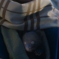 μνΈ (@luke_skyfaller) 's Twitter Profile Photo μνΈ (@luke_skyfaller) 's Twitter Profile Photo