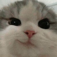 noxi33 (@noxifnbr) 's Twitter Profile