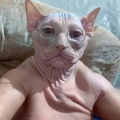 Numnum994741342's profile picture. 