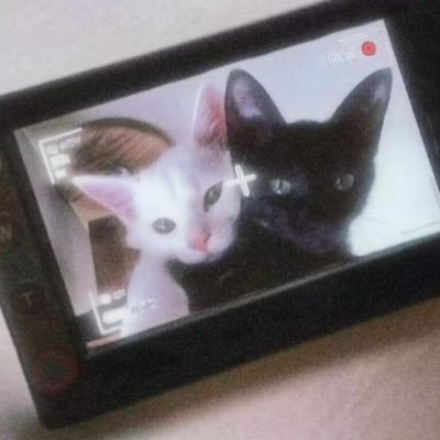 Vluki67's profile picture. 