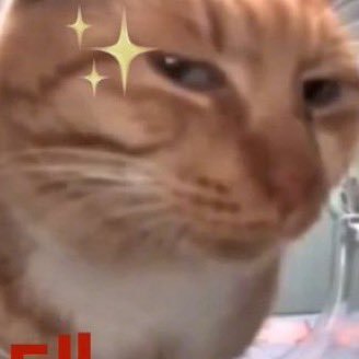 S2_S2_22's profile picture. @pelican_75