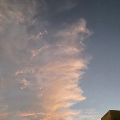 apple_____maru_'s profile picture. 