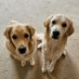Hardy & Chase (@hardythegr) Twitter profile photo Hardy & Chase (@hardythegr) Twitter profile photo
