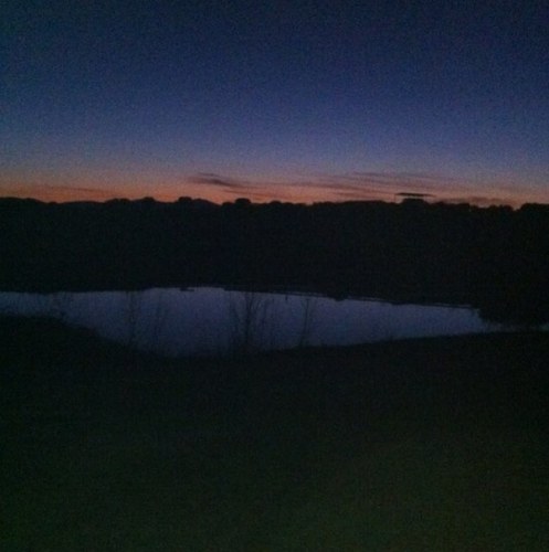 zhephyr79's profile picture. 