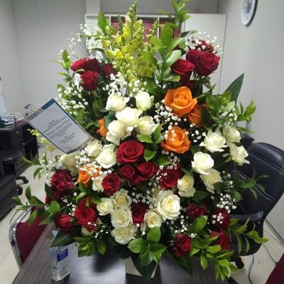 kolak1950's profile picture. 