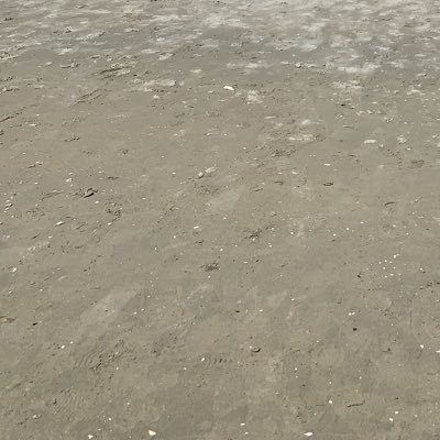 ankou_kn's profile picture. ジユウヲモトメルモノ