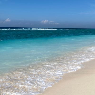 wa_oha_ha_ha's profile picture. …