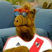 franfran (@ffranfran__) 's Twitter Profile