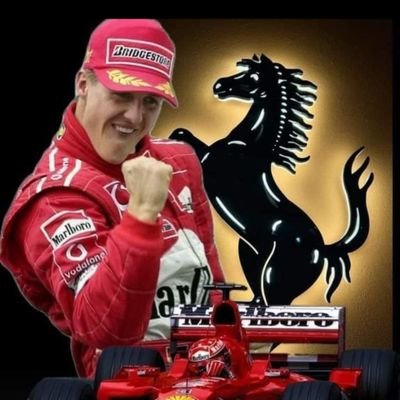 seguidor de la f1 indyca NASCAR Sprint y la opinión pública