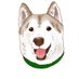 シベリアンハスキールカ (@luca_0210_husky) Twitter profile photo シベリアンハスキールカ (@luca_0210_husky) Twitter profile photo