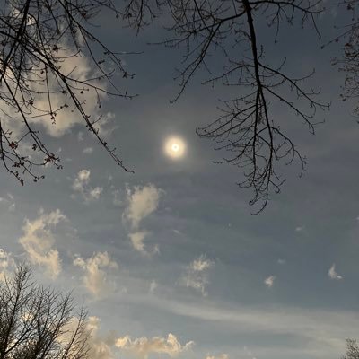 twillsr's profile image