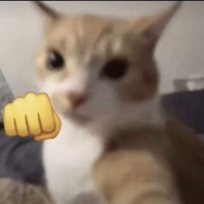 hBO2siaT4GqdgL4's profile picture. 男，在🇰🇷
