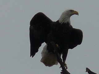 george_fix's profile picture. Retired,Retired,Retired