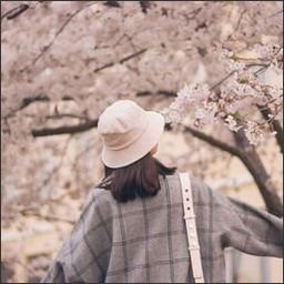 ShoughthEBWJoW's profile picture. 