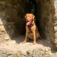Barney Ritter von Knallkopp Pappenheim (@labibarney) 's Twitter Profile Photo Barney Ritter von Knallkopp Pappenheim (@labibarney) 's Twitter Profile Photo