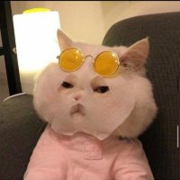 AYA (@murochil) 's Twitter Profile