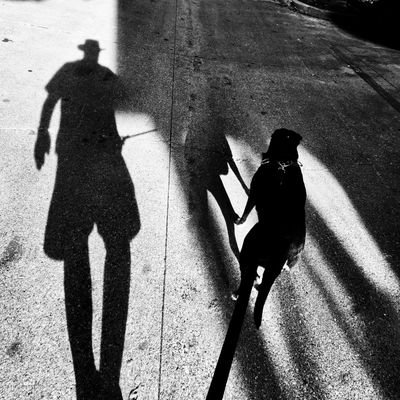 I have been a photography lover from the film & darkroom days through today's digital photography age. All pictures posted were taken by me except for Retweets.