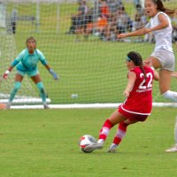 Dylan Steinberg (@dylansteinberg_) 's Twitter Profile