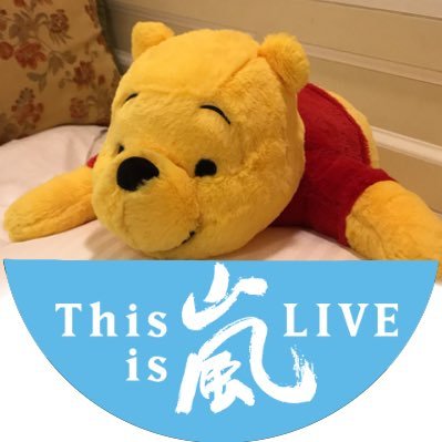瑠琉。さんのプロフィール画像