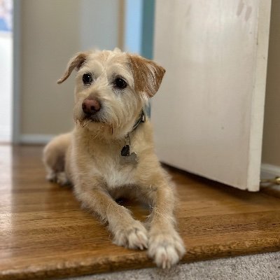 Graham_OBrien's profile picture. 