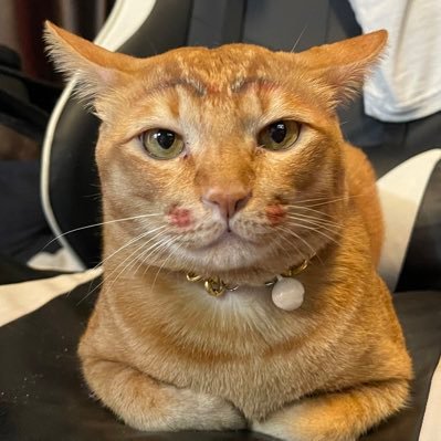 Lebbb420's profile picture. 