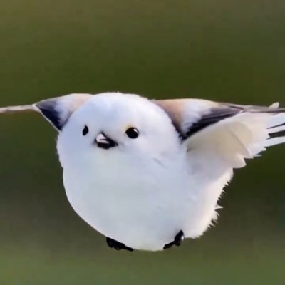 djdjcbsjsjkskz's profile picture. 