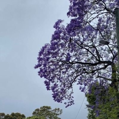 kalim_ahmadi1's profile picture. |°Part-time Writer| |Translator•| | Social Activist°|
|° Civil Engineer°| |Book lovers|