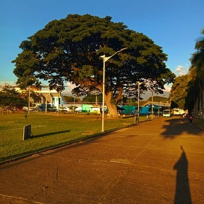 Ingeniero Civil, Gerente de Proyectos de Infraestructura y Ambientales. El mundo no necesita que lo salvemos, con que no lo jodamos estará bien. Piensa verde