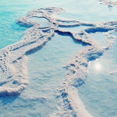 PFlouter34615's profile picture. 