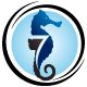 Seahorse Coaching(@SeahorseCoach) 's Twitter Profile Photo