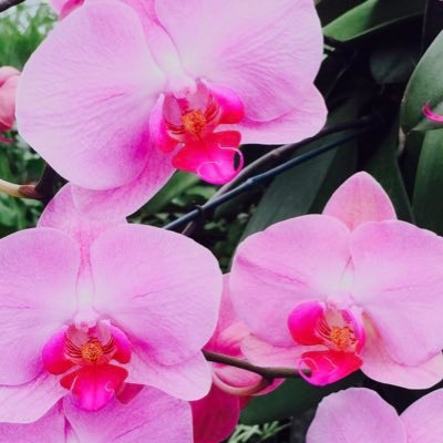 milkingmaiden1's profile picture. If you’re not careful, the newspapers will have you hating the people who are being oppressed, and loving the people who are doing the oppressing - Malcom X