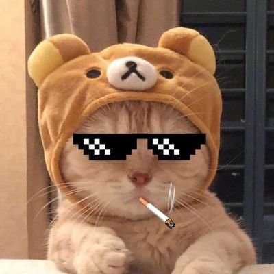 Perfection_2001's profile picture. 