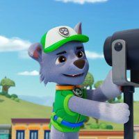 ♻️Rocky♻️ (@rockyrecycler) 's Twitter Profile