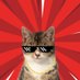 NB (@mr_nogs) Twitter profile photo NB (@mr_nogs) Twitter profile photo