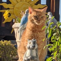 Peter Pan (@peterpanagain) 's Twitter Profile