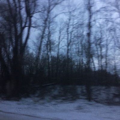 Foolcore_'s profile picture. ◦◦,`°.✽✦✽.◦.✽✦✽.°`,◦◦