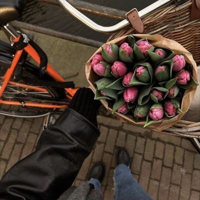 F9600746's profile picture. Falling down is a part of life.. Getting up is living |⚡| لا اله الا الله