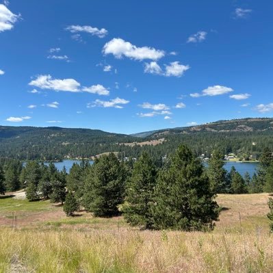 Tabernaculum55's profile picture. 