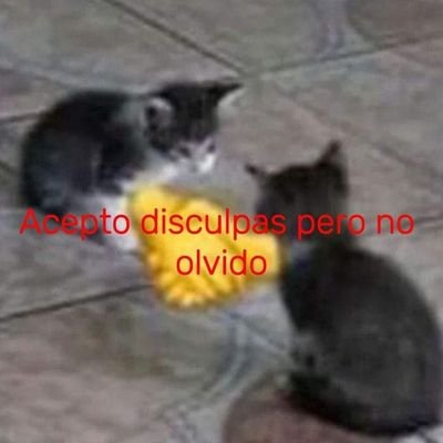 Domminic567's profile picture. 