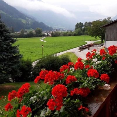 captainmichae's profile picture. Captain of Celebrity Reflection