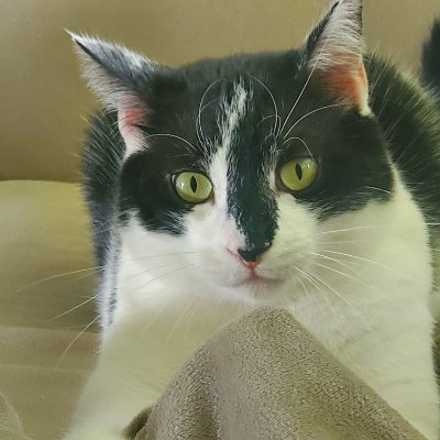 MSJ483's profile picture. 