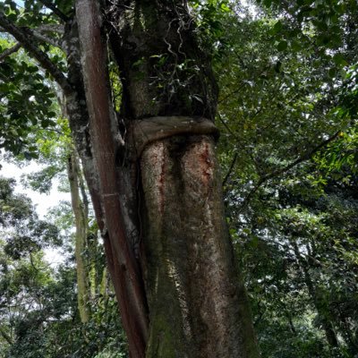 ARB19CR's profile picture. 